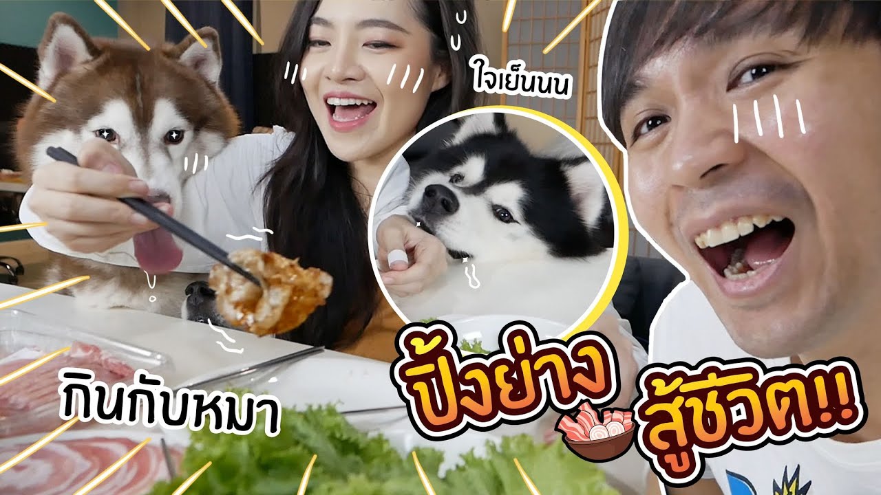 กินปิ้งย่างกับหมาสติแตก! ปิ้งย่างสู้ชีวิต! กินยั่วหมาจะโดนล้มโต๊ะมั้ย?