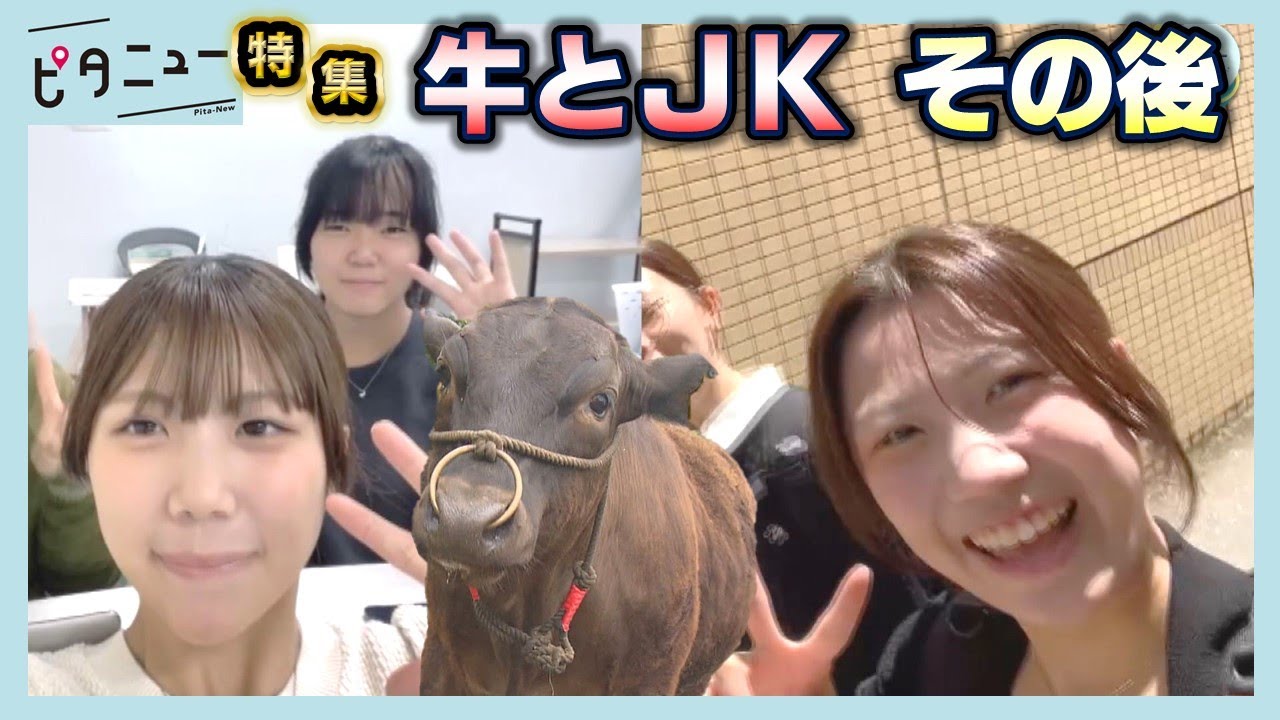 【特集】牛と過ごした青春 西条農高の双子 大学生活は？【牛とJKその後】｜ピタニュー特集
