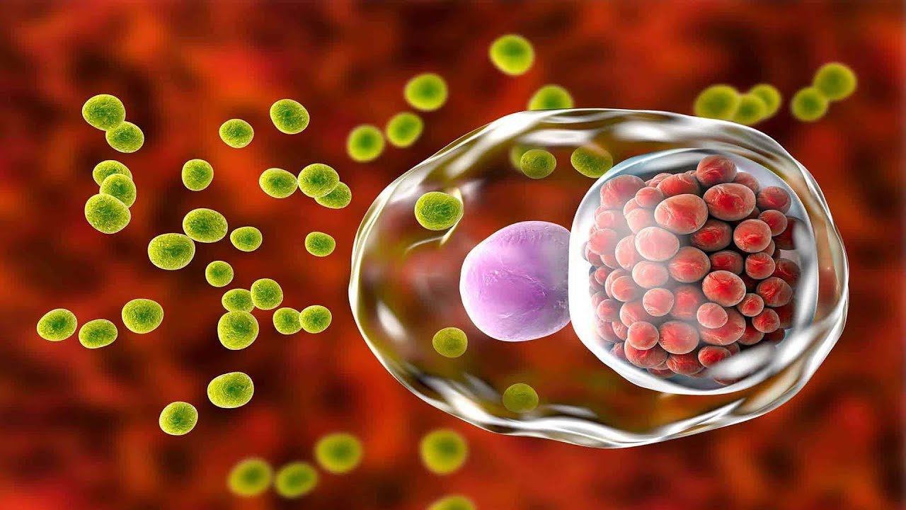 Infecciones de transmisión sexual - Dra. Priscila Rodríguez