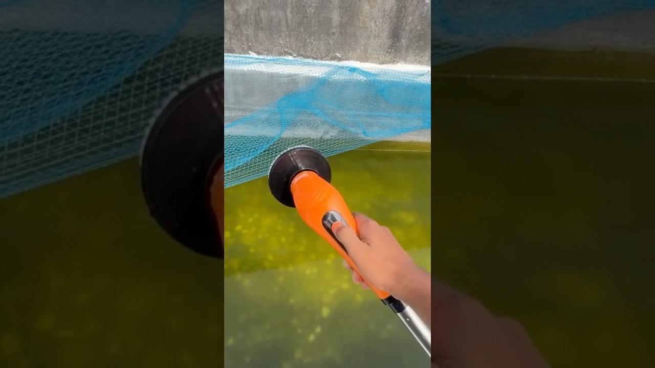 Best Aquarium Cleaner Tool Kit  