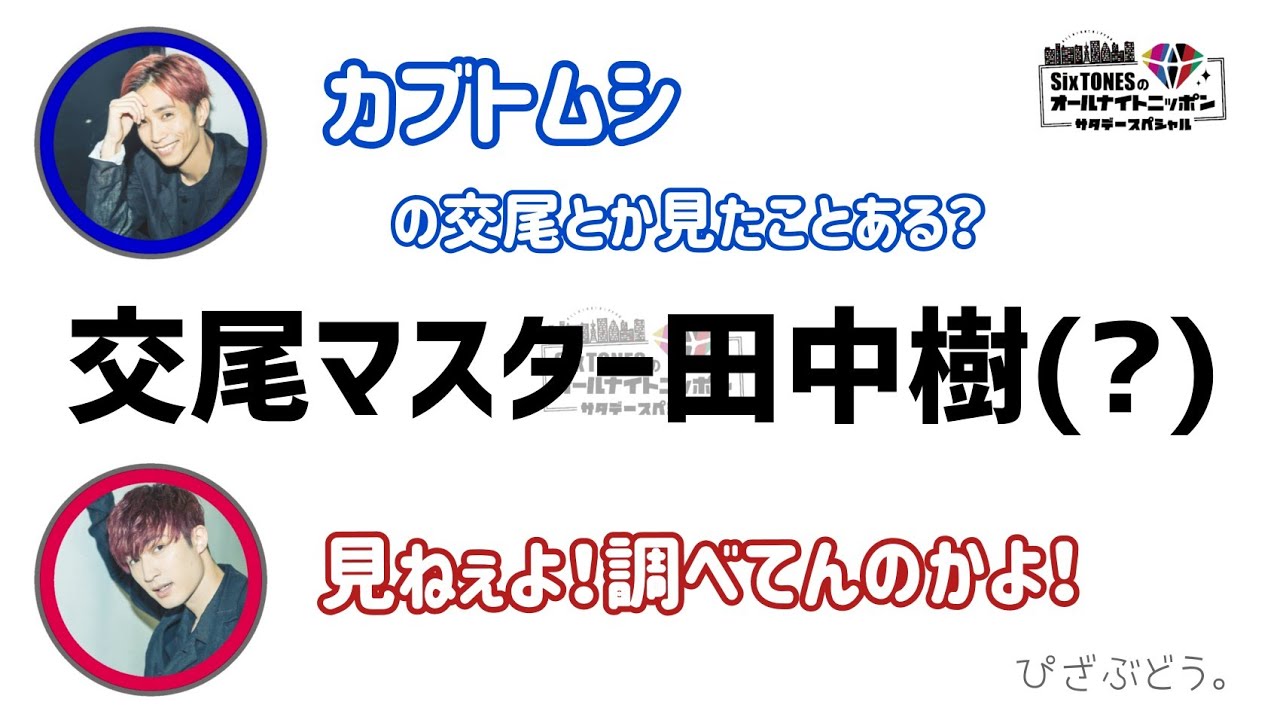 【SixTONES】謎に交尾に詳しい田中樹。それに冷めてるジェシー。