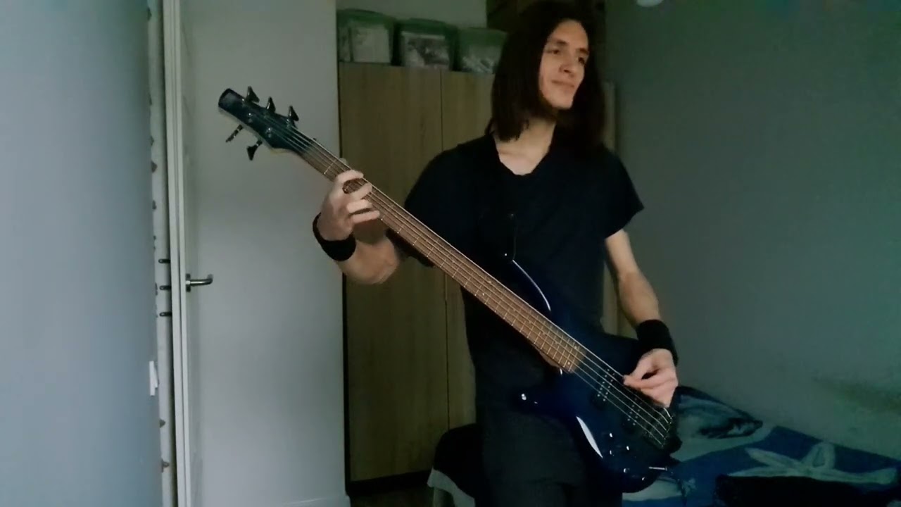 Metallica - To live is to Die [bass cover]