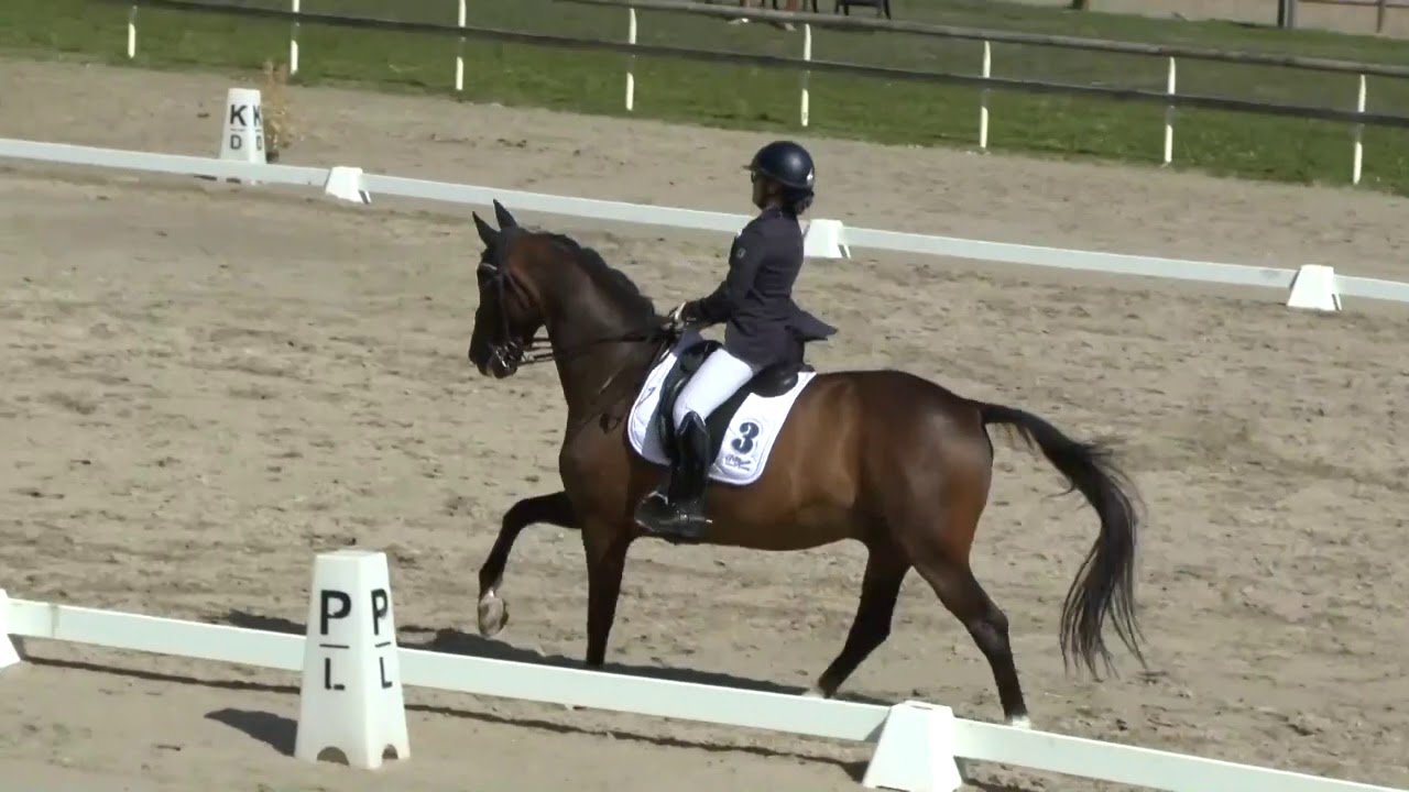 REPRISE DE DRESSAGE | Reprise B3 : Commentées par Isabelle Judet – Juge 5* Internationale