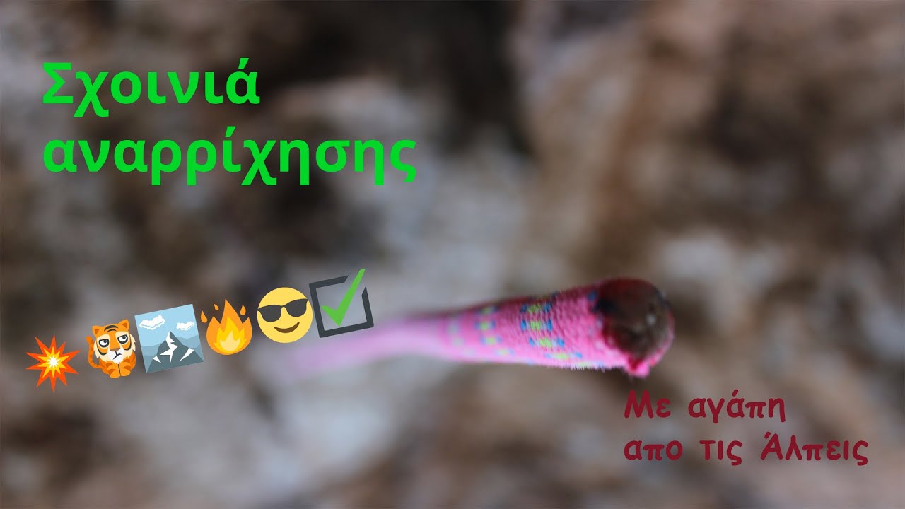 Σχοινιά αμέτρητες επιλογές - τύποι και κατηγορίες, συμβουλές για το επόμενο σχοινί