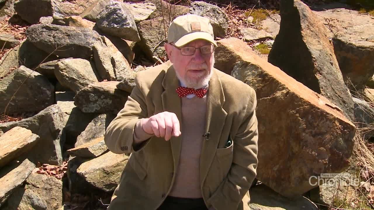Fritz Wetherbee: Vikings Discover New England