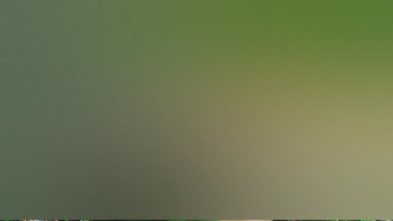 चिन्टू और भूत 8  Rat, Elephant Chintu cartoon   pagal beta   desi comedy video   cs bisht vines