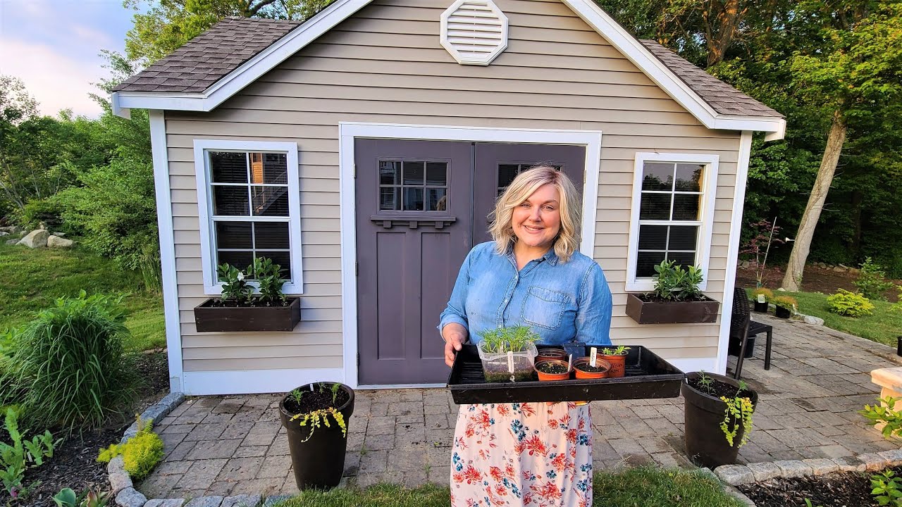 Summer Flower Containers Using Mostly Annuals Grown From Seed!