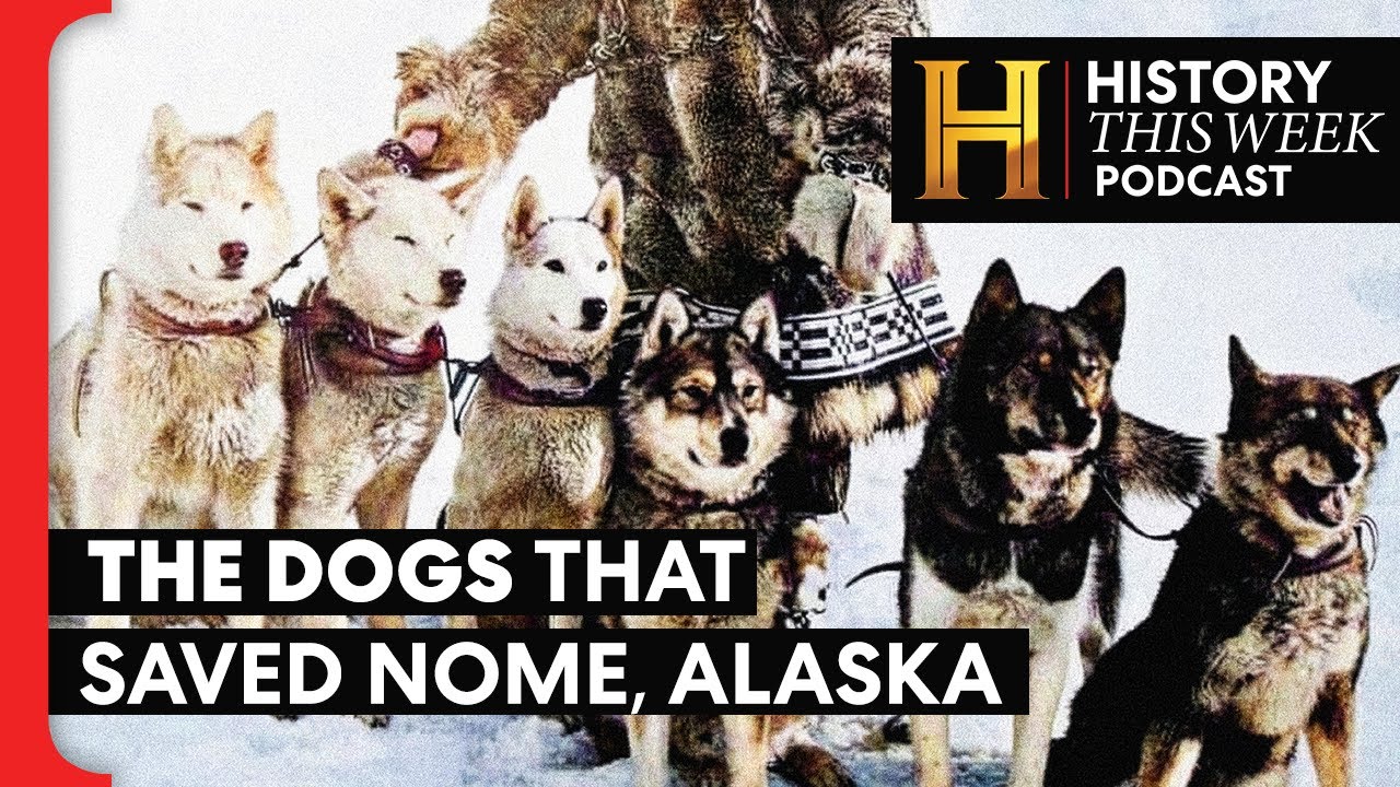 Balto, Togo, and the Blizzard Run That Stopped an Epidemic | HISTORY This Week