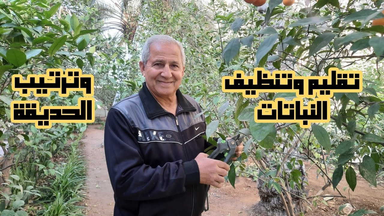تقليم وتنظيف وتسميد وتهيئة النباتات والحديقة لاستقبال فصل الربيع