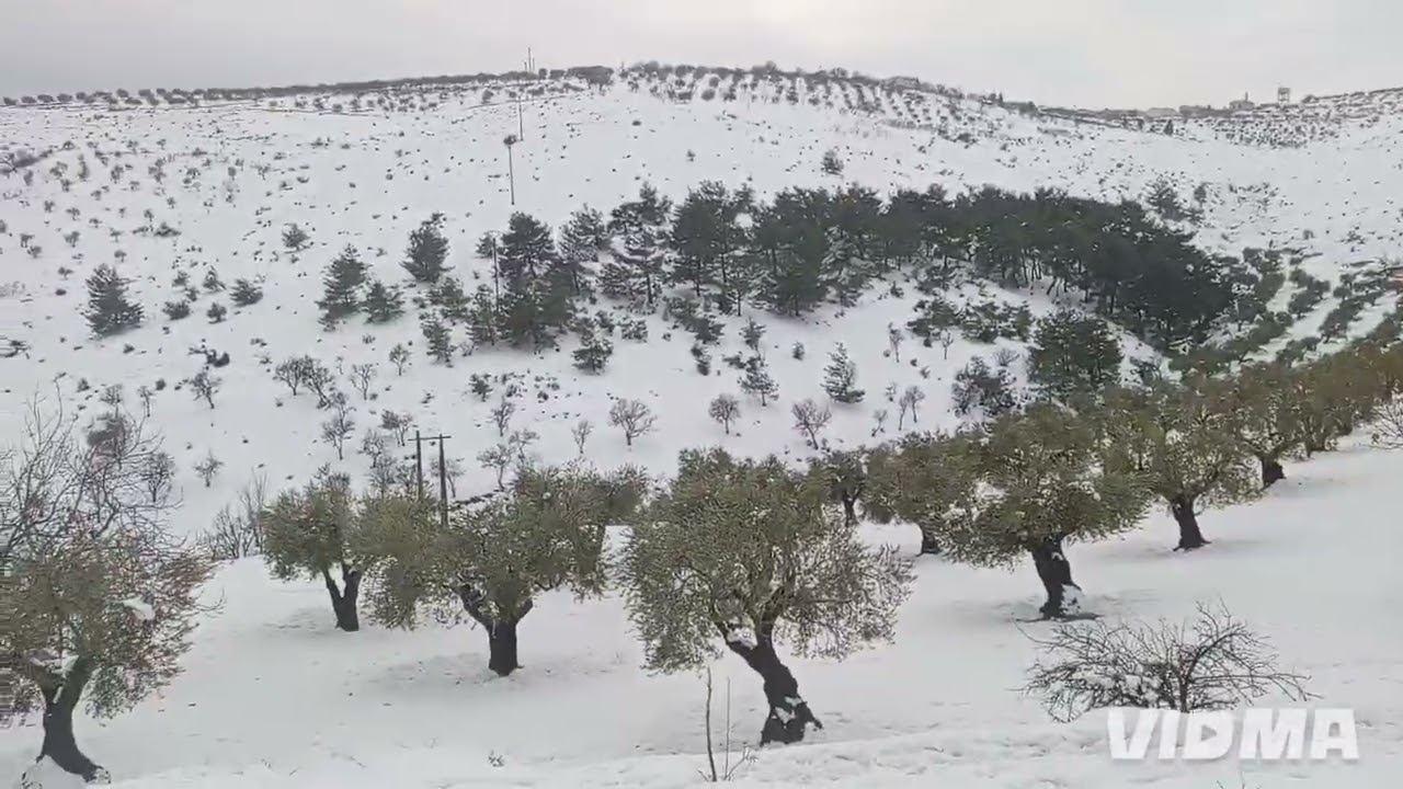 فيديوهات تلج روعة حلوين  بجنن   اعطوني رايكم ♥️