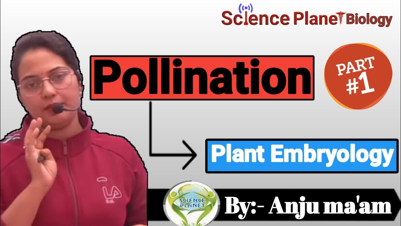 Pollination Part:-1, Plant Embryology ||By Anju ma,am|| @scienceplanetbiology