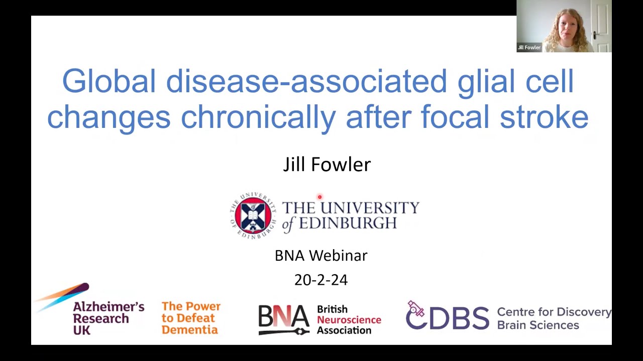 Global Disease-Associated Glial Cell Changes Chronically After Focal Stroke - with Miltenyi Biotec