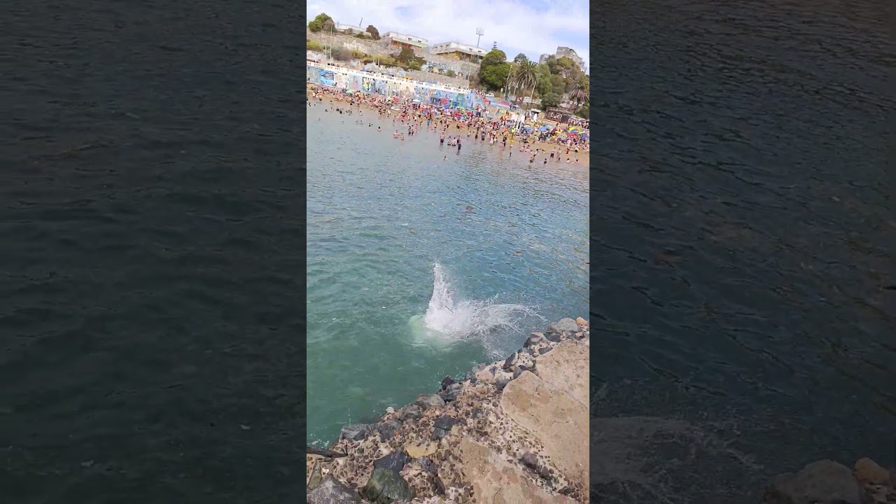 Piqueros en Torpederas, Valpara&iacute;so