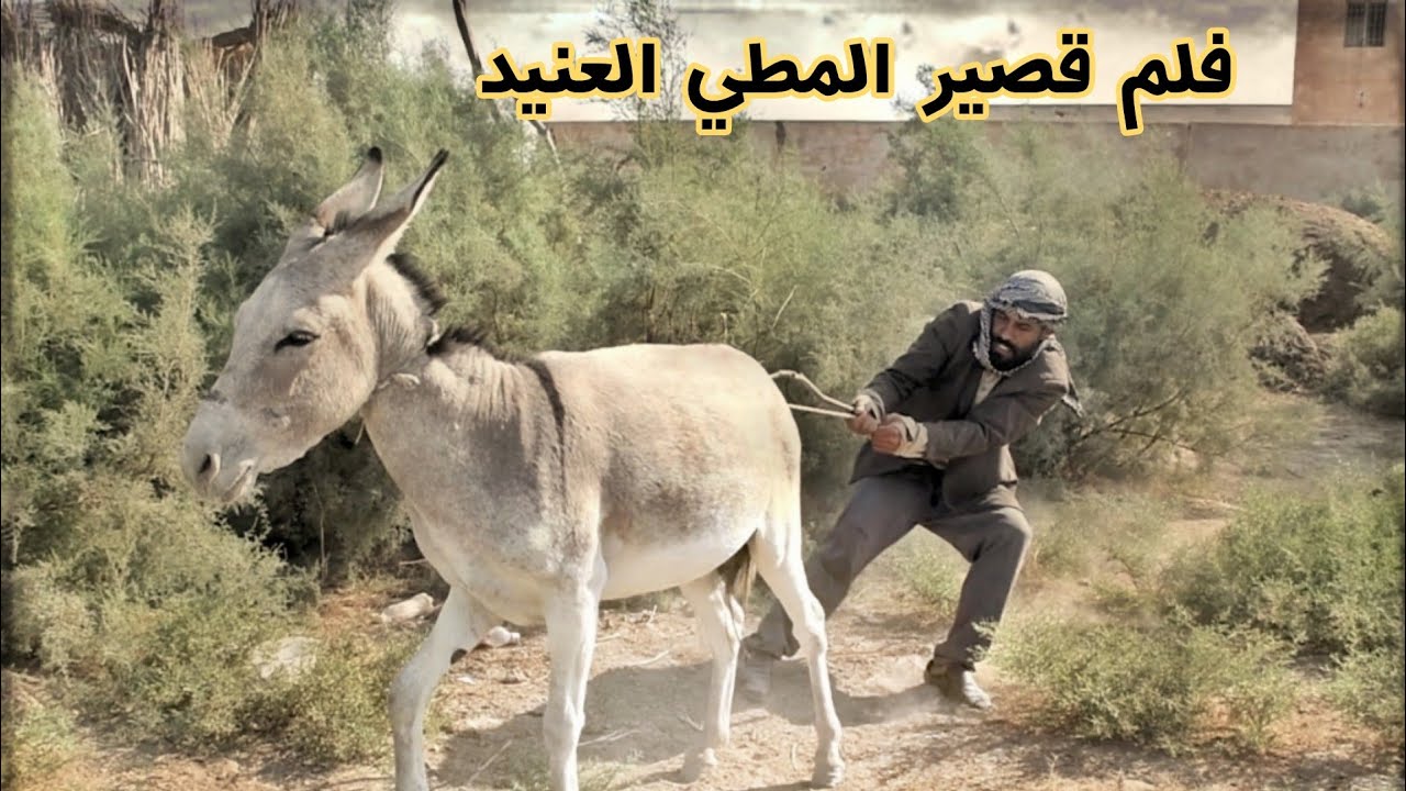 صاحب الحمار المدلل _ فلمكم
