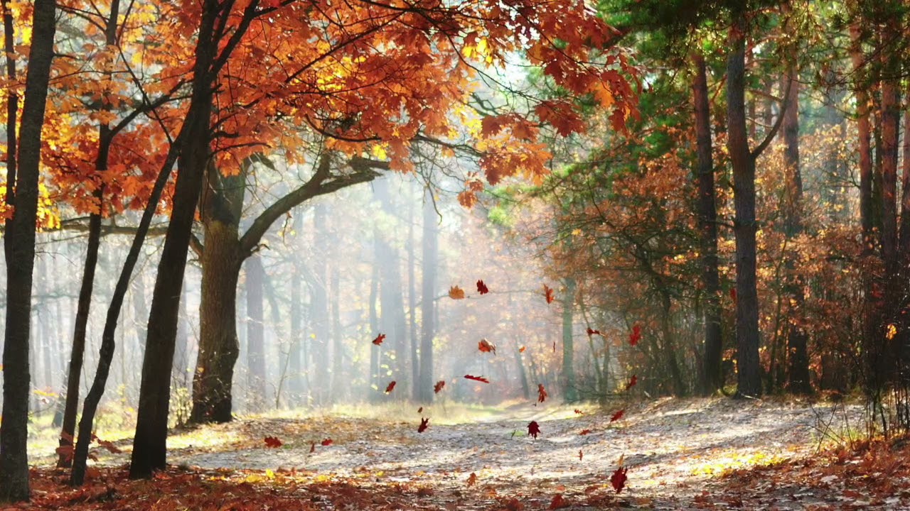 PIOTR TCHAIKOVSKY — «THE SEASONS»,  