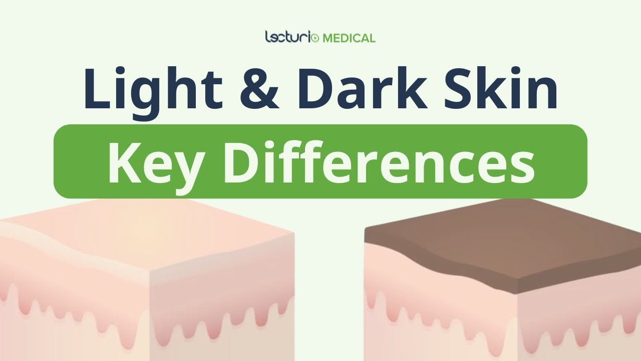 Dark & Light Skin: Melanin, Hair and More Explained 🤓