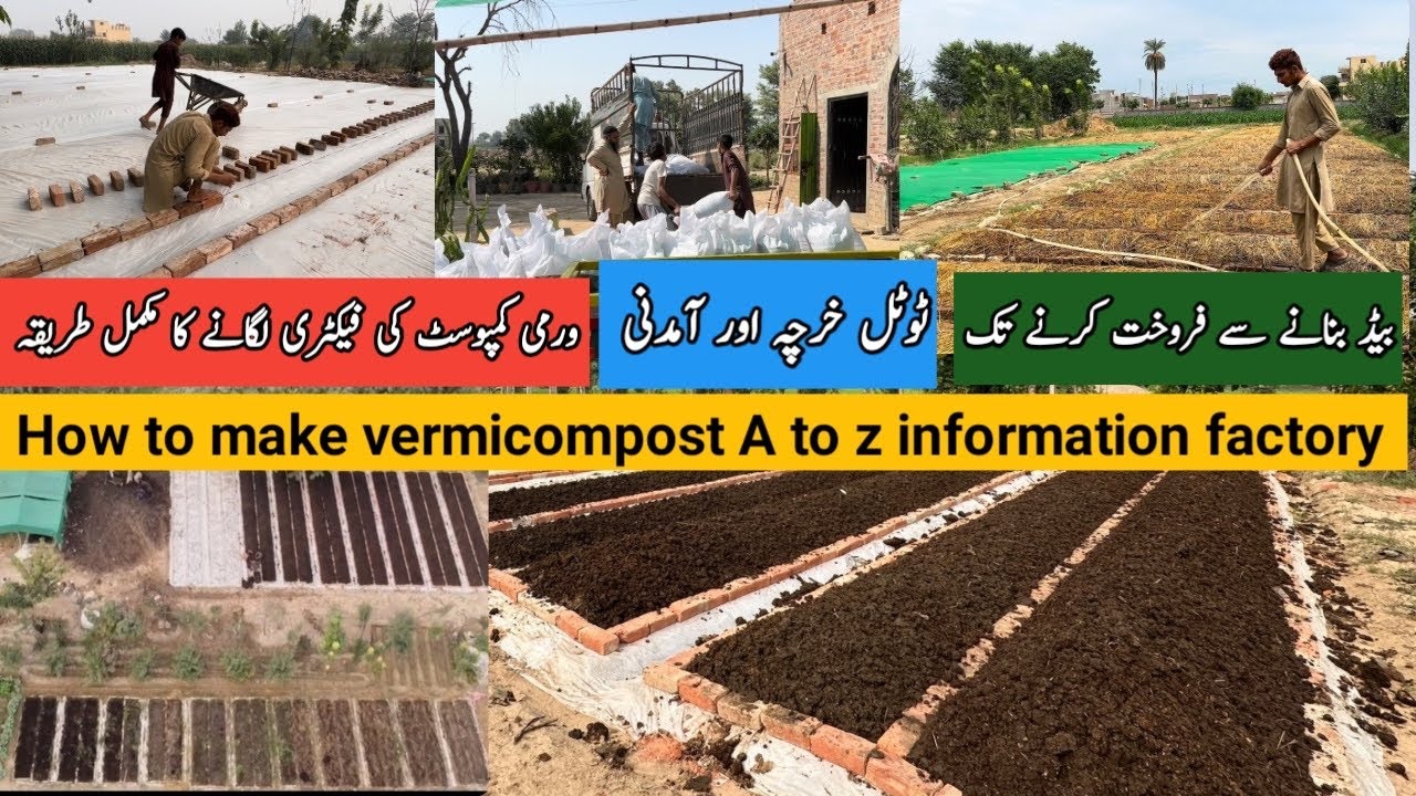How to make vermicompost | bed making | cow dung treatment | harvesting | mash | packing | sale |