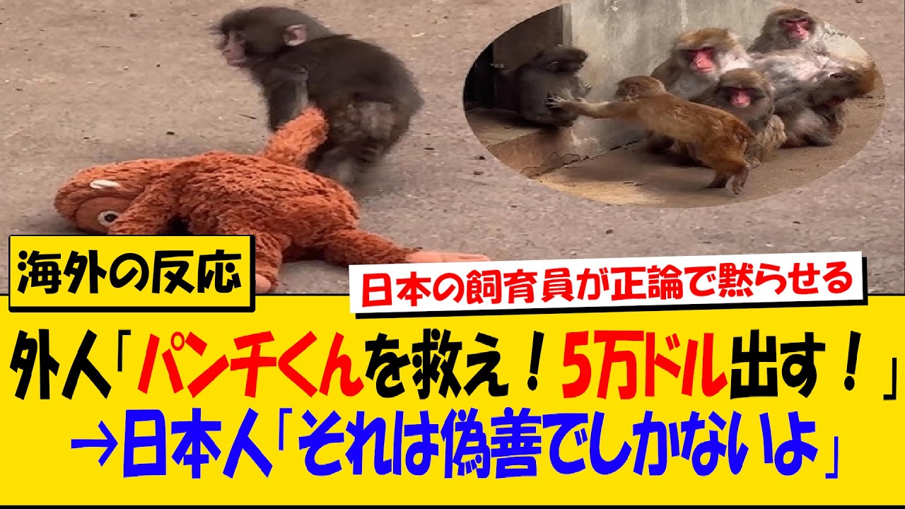 米インフルエンサー「5万ドル出すからパンチくんを引き取らせろ」→日本人「引き取ってインスタに上げた後デカくなったらポイだろ」→偽善の正体【海外の反応】