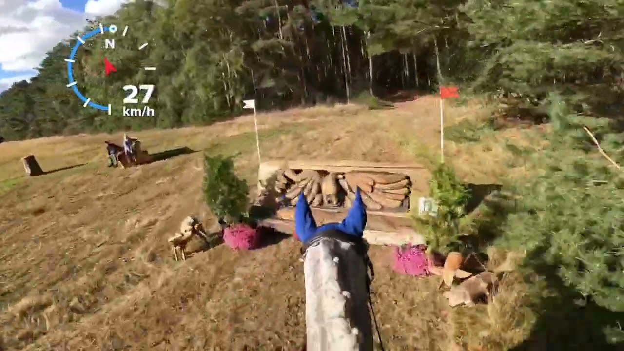 KARL VT: CCI1* - intro IN MECHTERSEN 29.09.2024 / HelmetCam: eventing