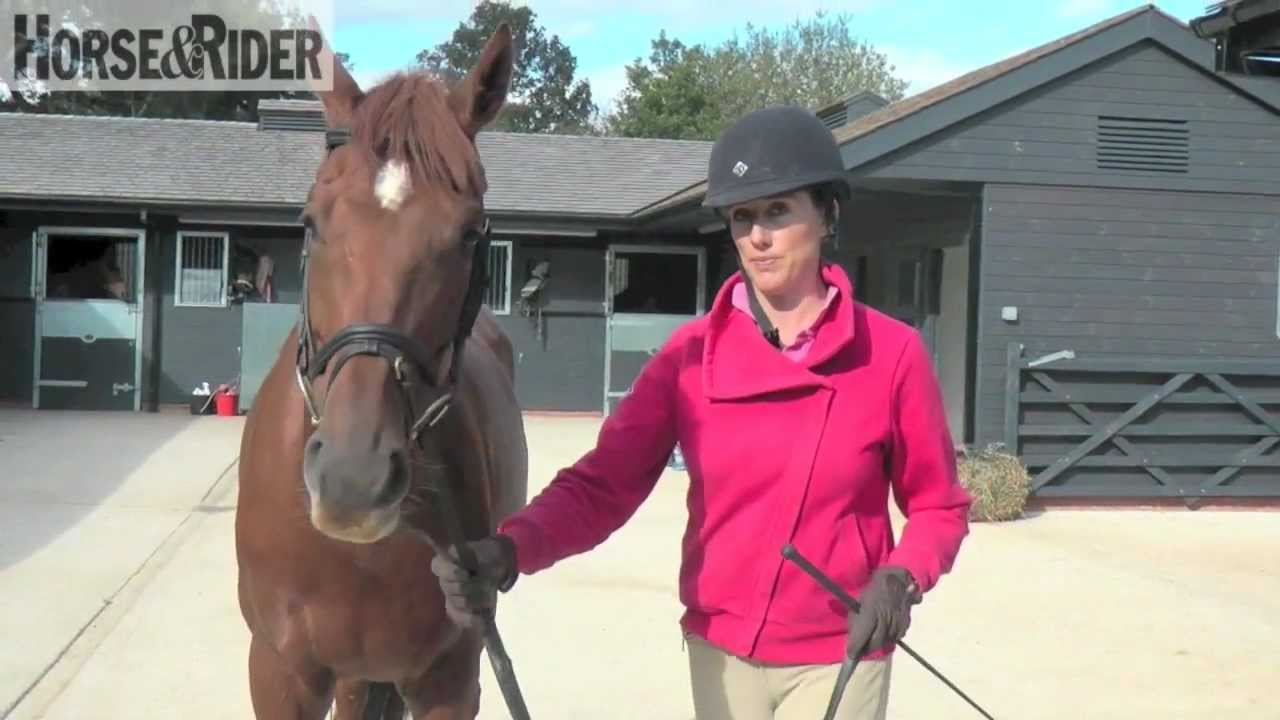 Jo Jackson's Top Tips | Trotting up for a vet | HorseandRider UK