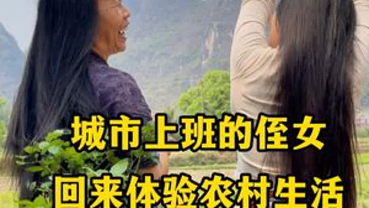 城市上班的侄女回来体验农村生活，跟她一起用茶麸洗个头 #茶枯粉 #茶枯粉洗头 #侧柏叶粉 #养发护发 #植物洗发