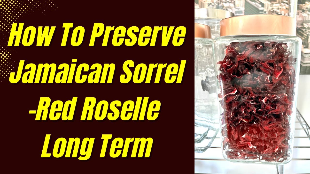 Как консервировать ямайский щавель (Red Roselle)