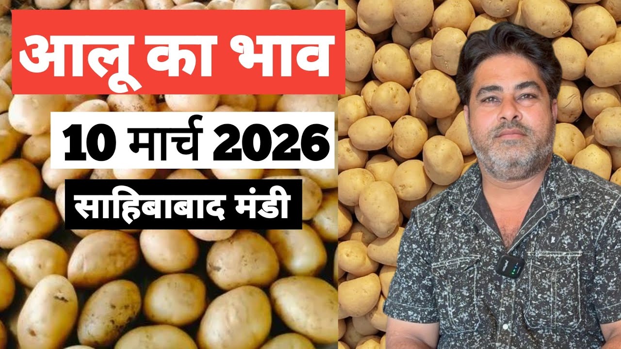 10 March 2026 🥔 आलू का भाव साहिबाबाद मंडी ।। Today Potato Rate in Sahibabad Mandi || Bharat ke Bazar