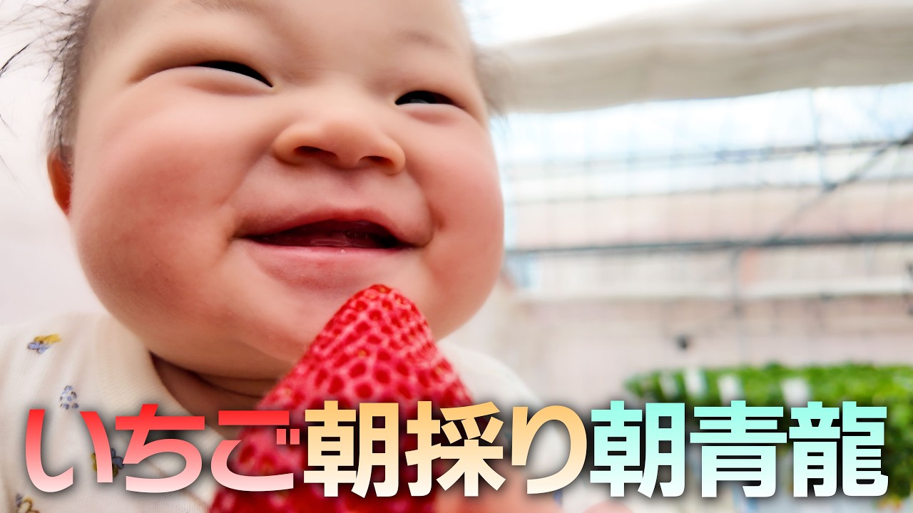 ブドウ派のスタッフといちご狩り行ってみたら