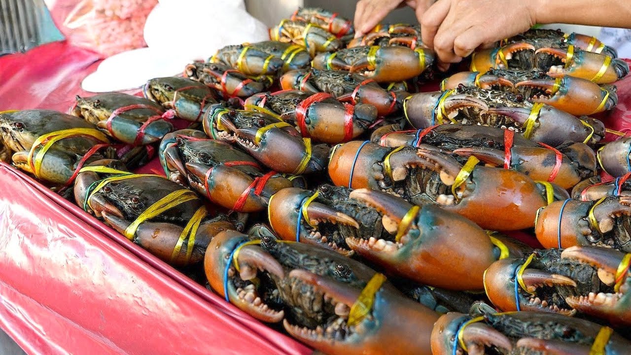 Delicious！Unique Crab Cooking, Crab Catching-Mud Crab, Flower Crab,King Crab/絕對美味！豪華蟹宴-萬里蟹、紅蟳、花蟹、帝王蟹