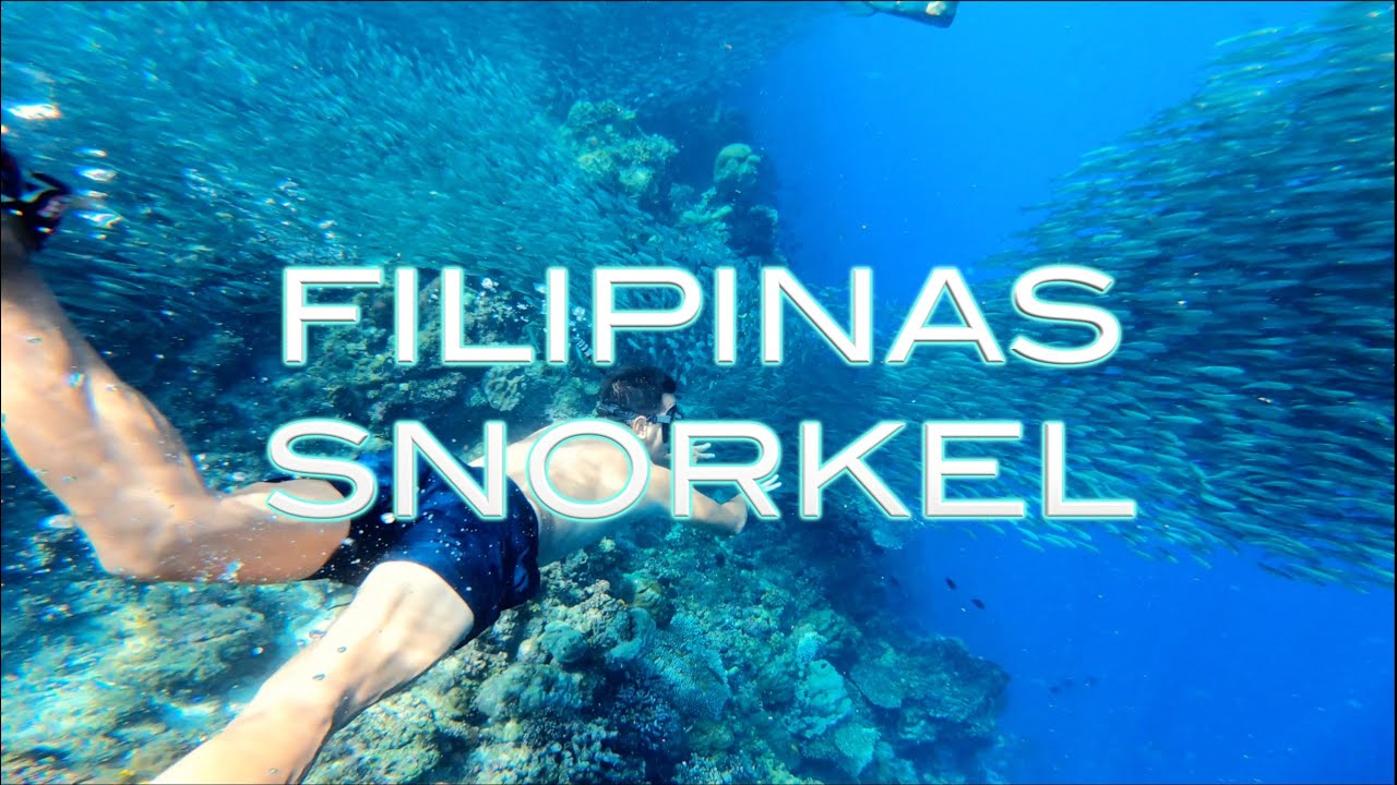 FILIPINAS SNORKEL 4K (2019) 🤿🐟🐢🐡
