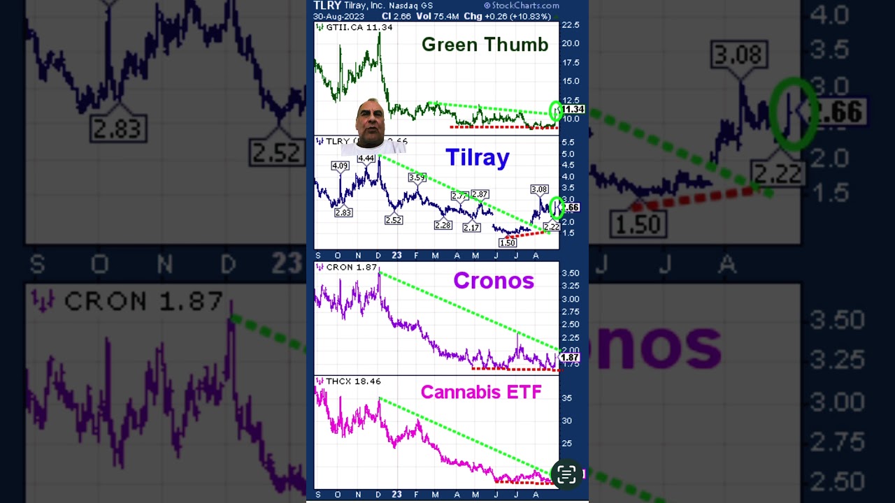 Cannabis Stocks Rise On Legalization Hopes. #tilray #cronos #greenthumb #cannabistalk101 #thc