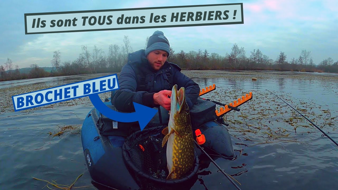 Pêche du BROCHET en HIVER en BIG BAIT : les GROS sont de SORTIES ! + fou rire avec l'équipe !