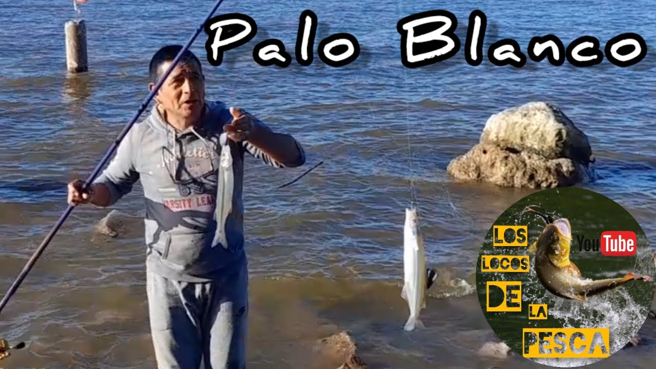 Pesca de Pejerreyes en la Playa Palo Blanco Berisso. Jue,20 de abril.