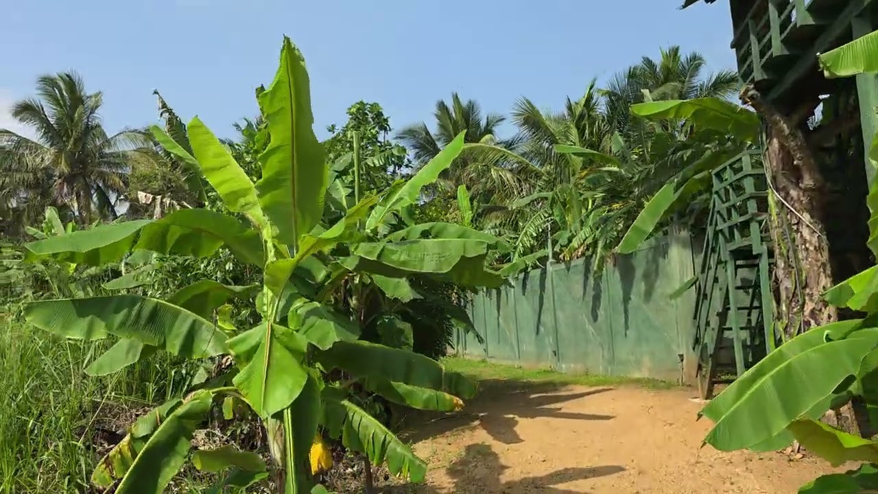 The Nature Park Villa