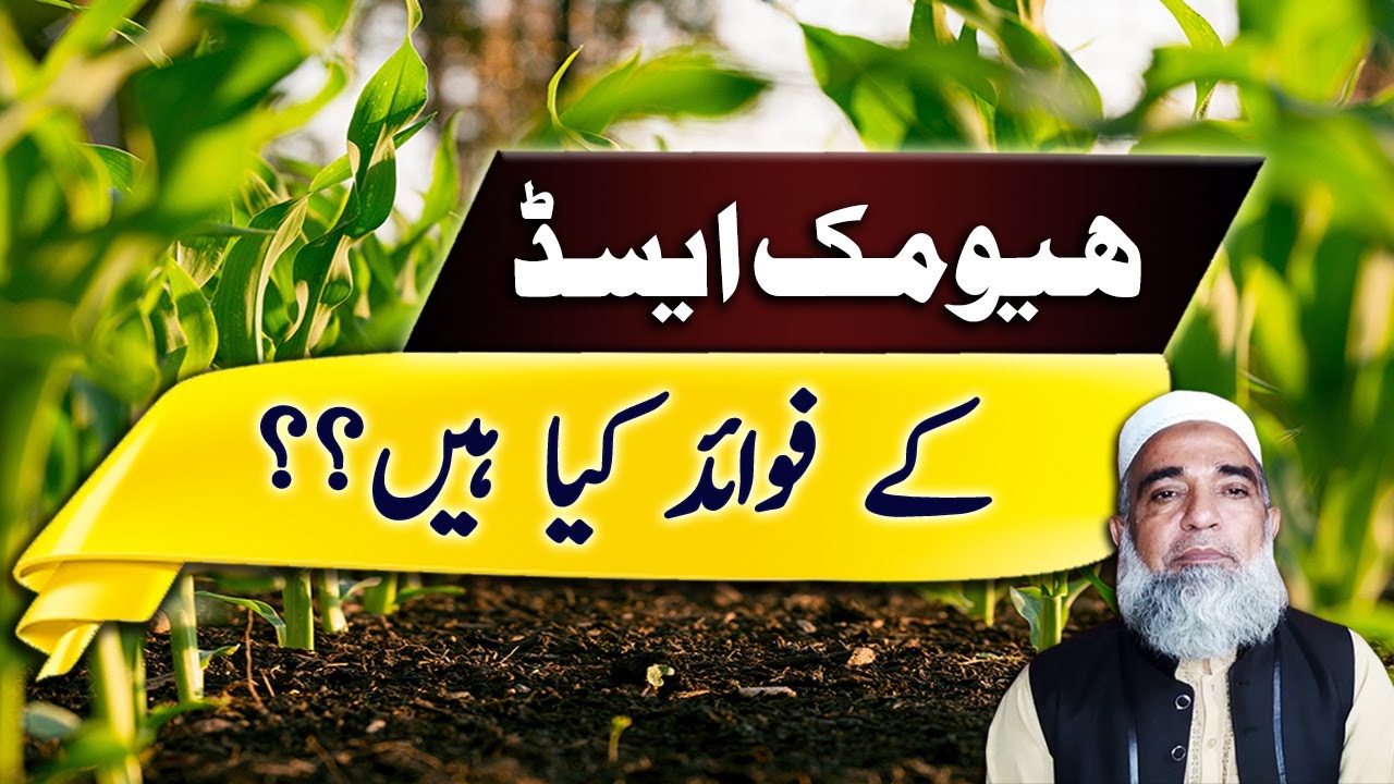 What are the benefits of Humic acid | Crop Reformer