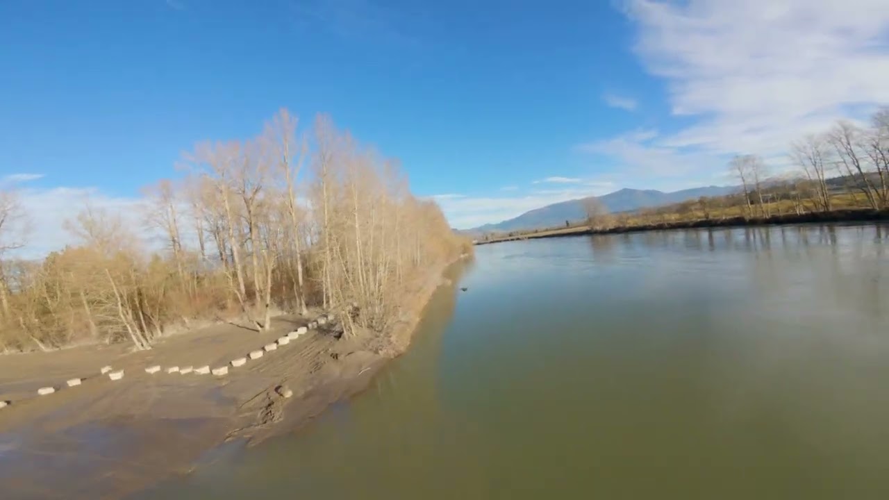 Skagit River  01 20 2026