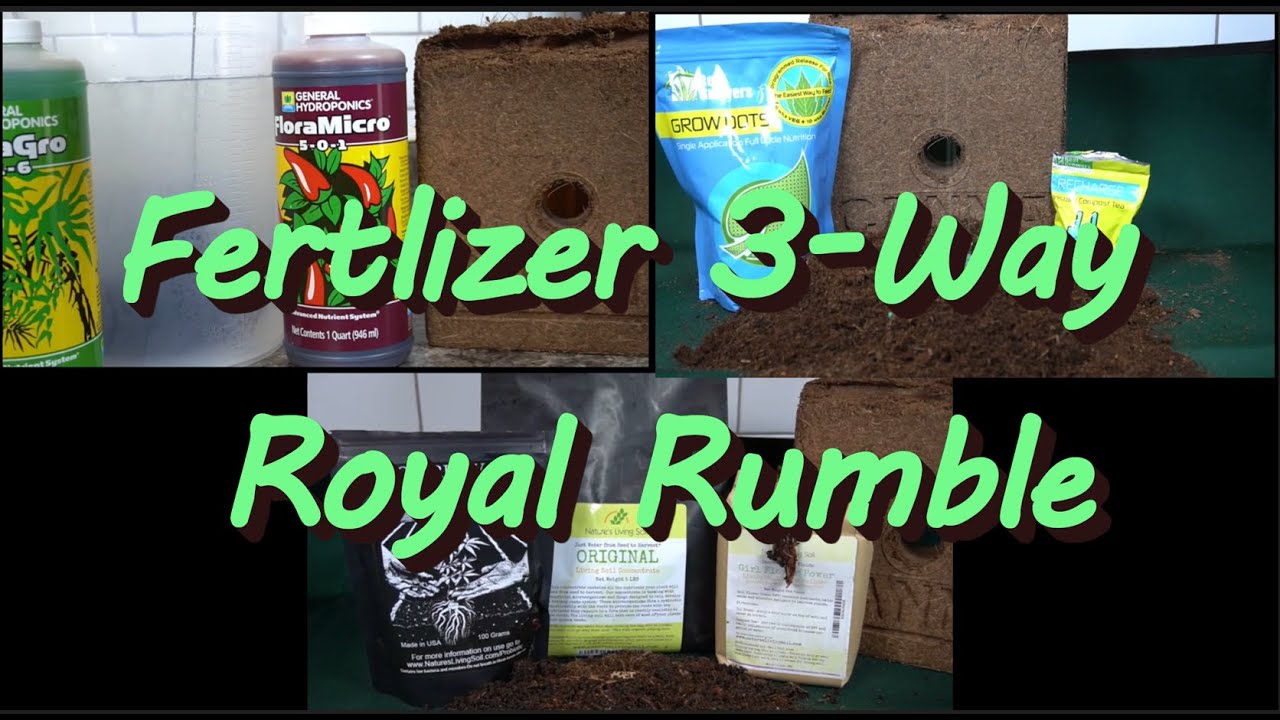 LIVING SOIL vs GROW DOTS vs GENERAL HYDROPONICS (Part 1)