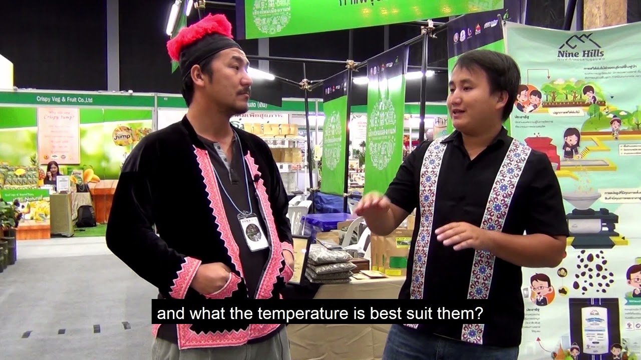Hmong Coffee Business - English Subtitle