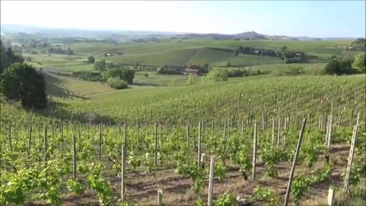 Barbaresco, Cuneo, Langhe, Piedmont, Italy, Europe