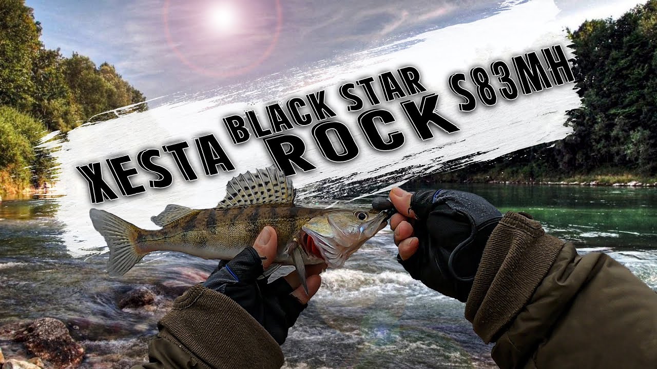 Течія змінює пріоритети. Огляд XESTA BLACK STAR ROCK S83MH VERSATILE MULTI ROCKER