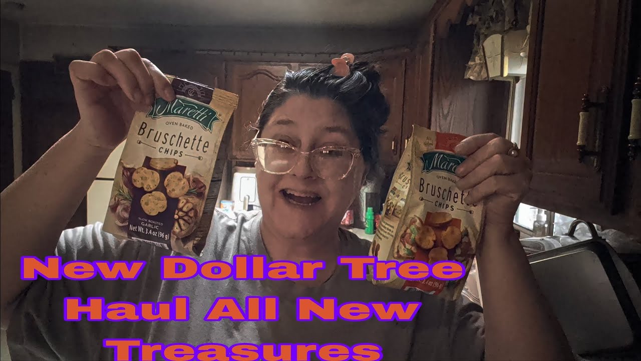 New Dollar Tree Haul All New Treasures 