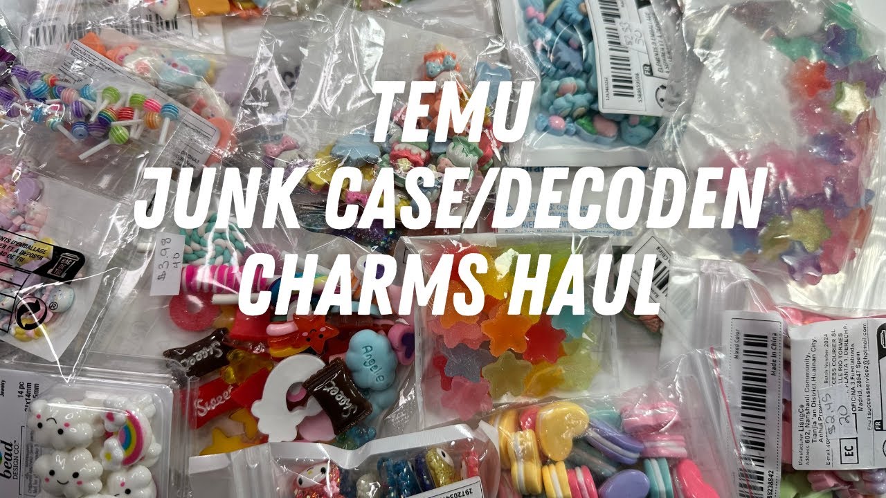 Temu Junk Case/Decoden Charm Haul