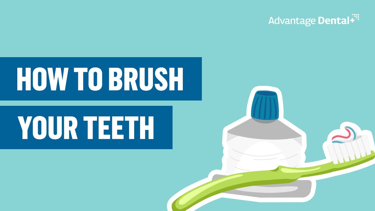How to Brush Your Teeth