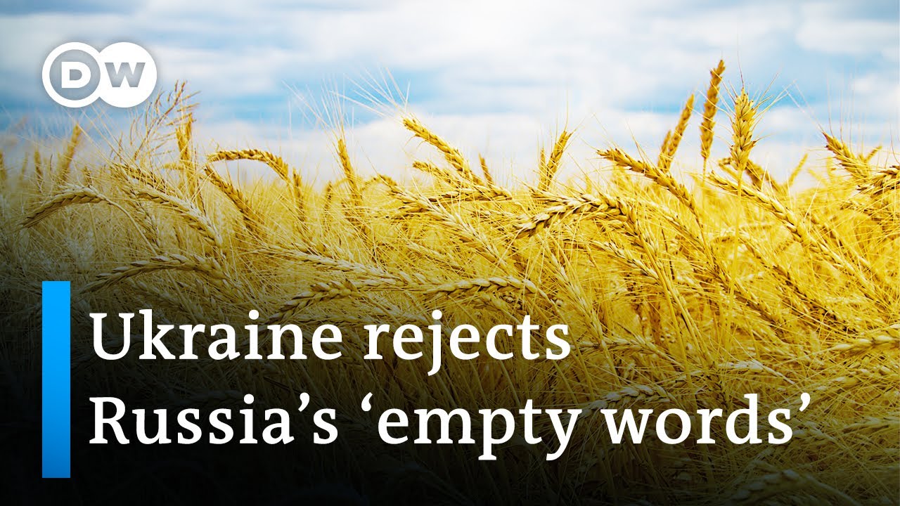 Russia says it 'will allow' Ukraine to export its grain | DW News