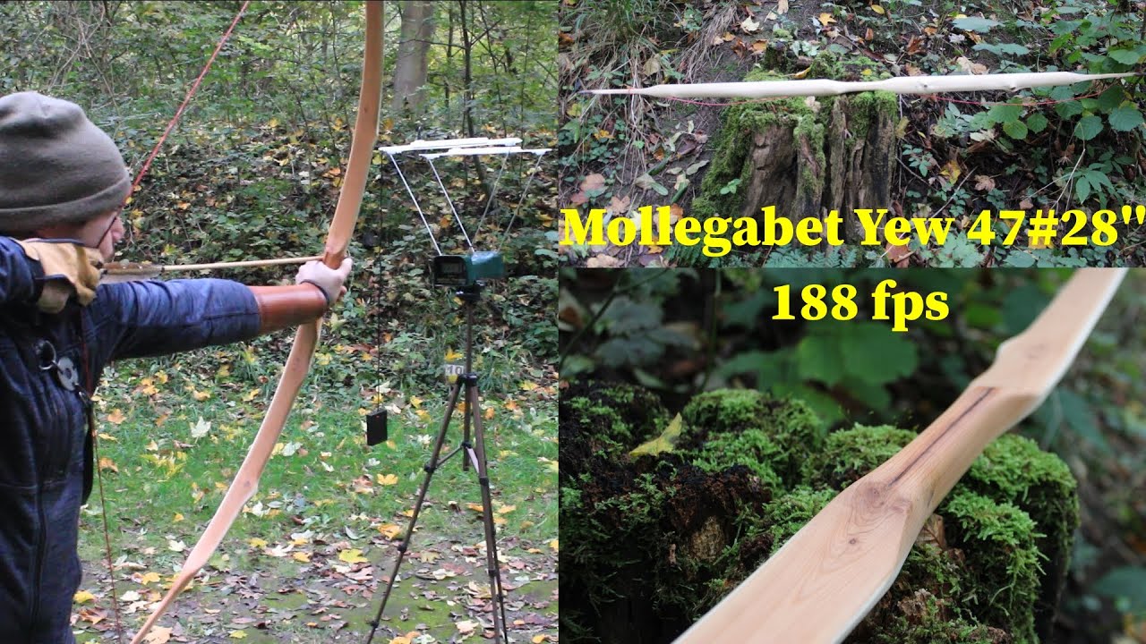 Mollegabet Yew Bow 188 fps