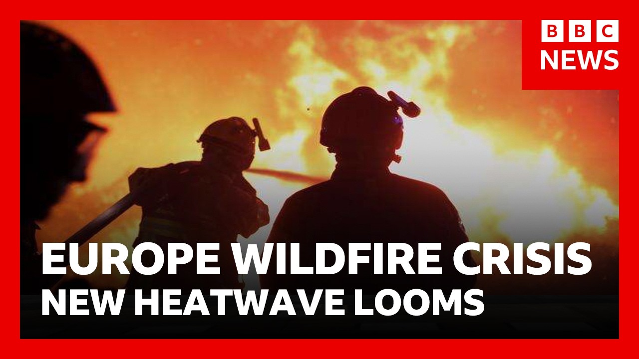 Europe wildfires: France warns of worst crisis 