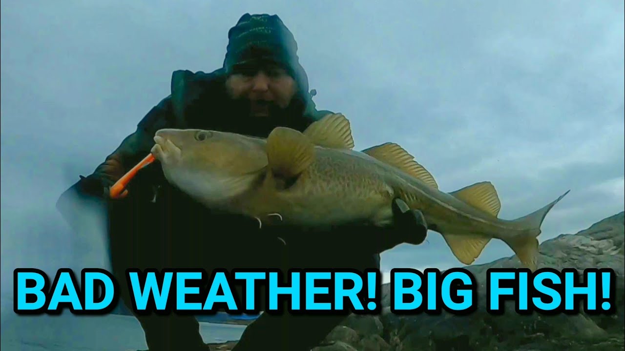 Getting it done! in arctic Norway!