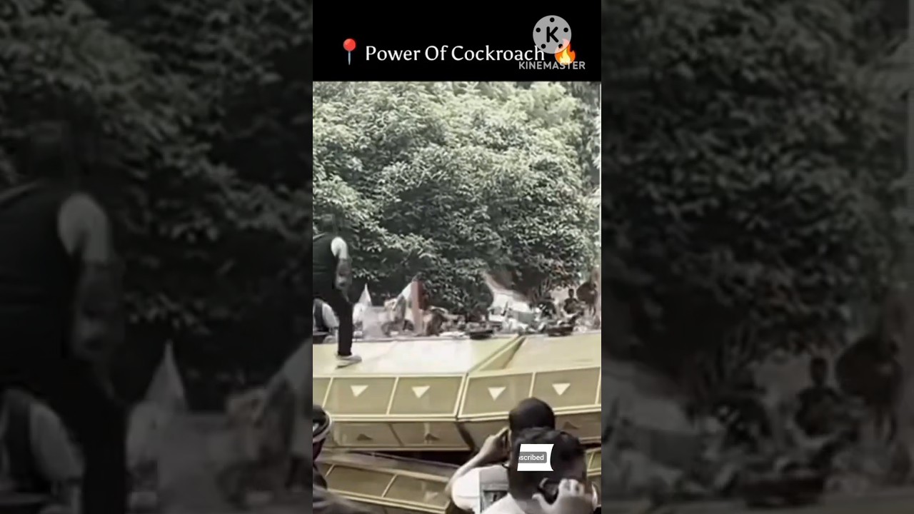 The Cockroach Janta Party (CJP) protests in#