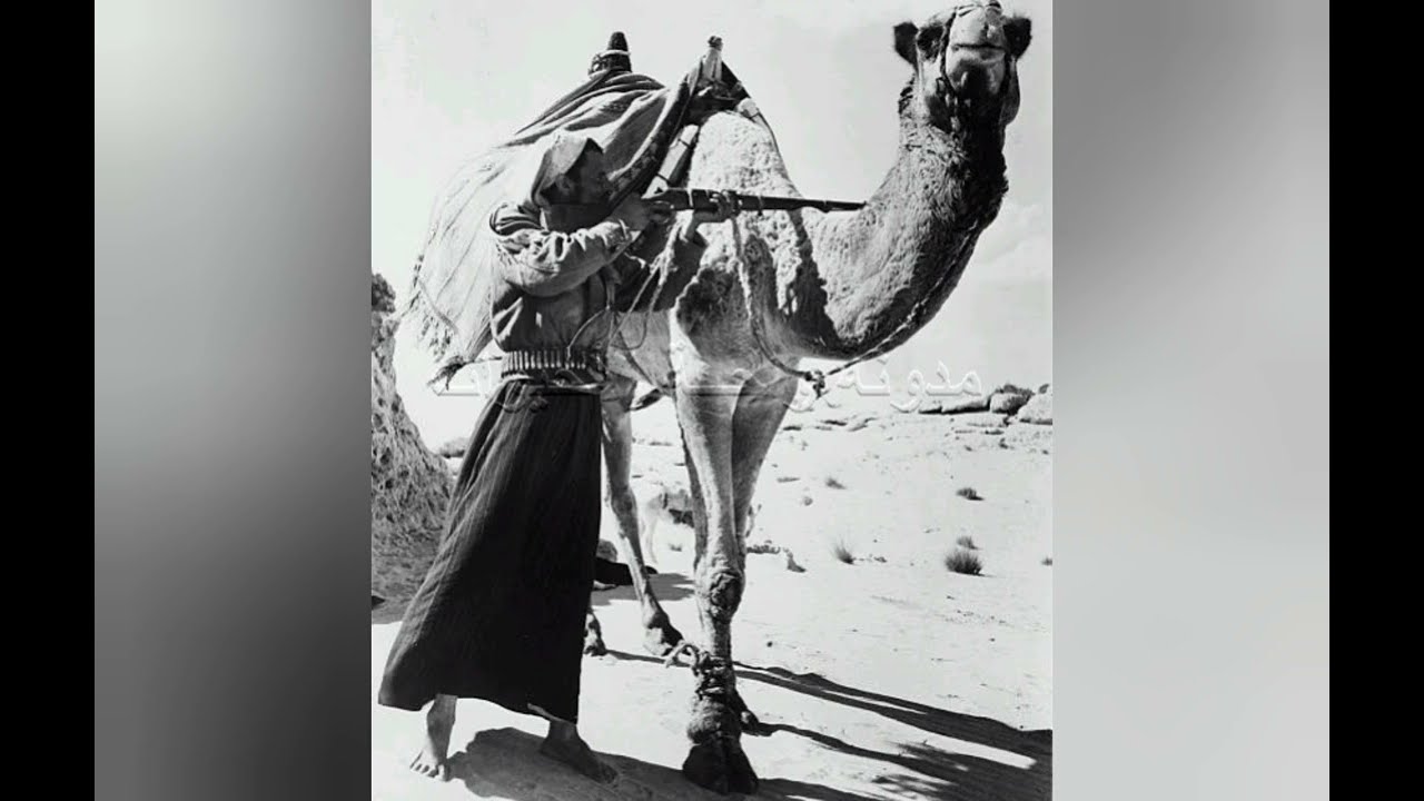 (  ٢٨ ) قصة رجل يبحث عن قاتل ابنه.. ولكن العبرة  بالنهاية