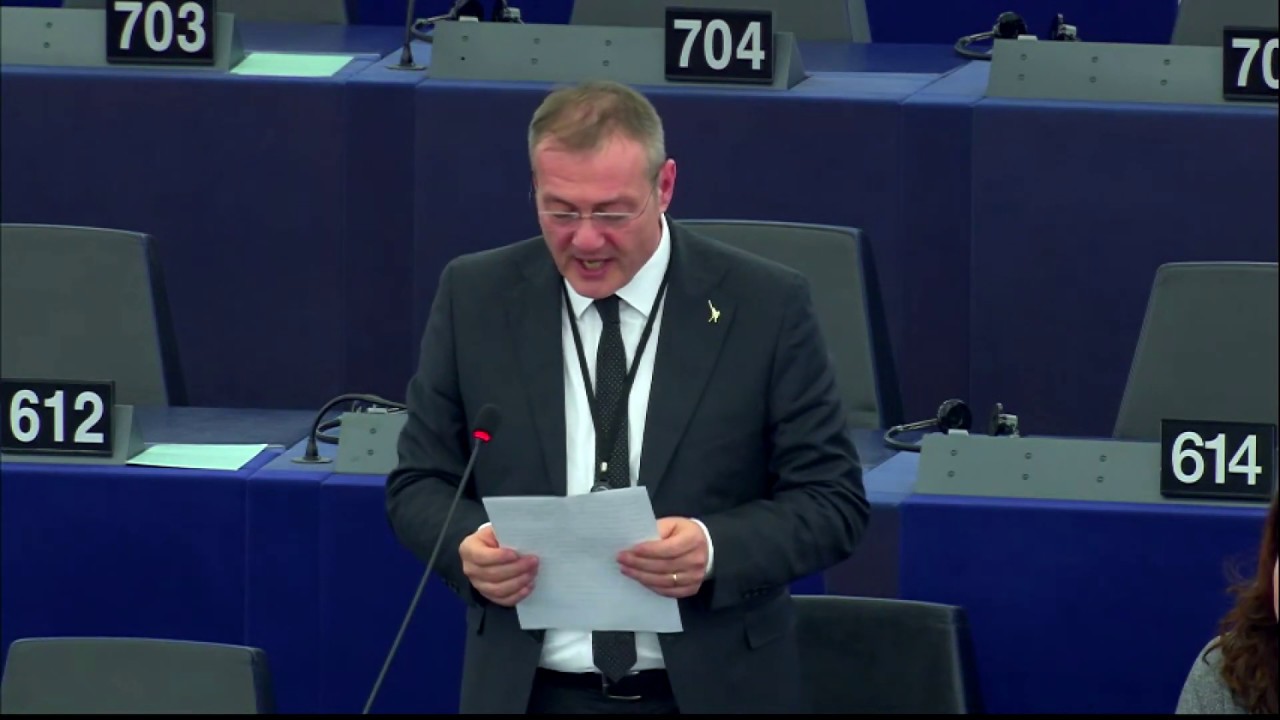 EU Scandal in Libya arms embargo that is being violated by Turkey, UA Emirates and Egypt
